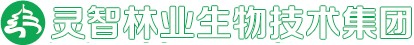 ty8ҵռ-ty8
